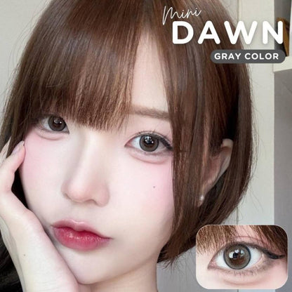 Mini Dawn Gray ☆ Kitty Kawaii