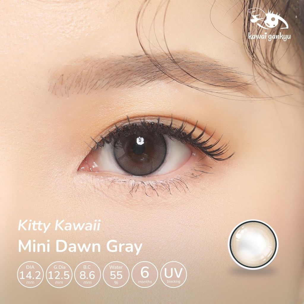 Mini Dawn Gray ☆ Kitty Kawaii